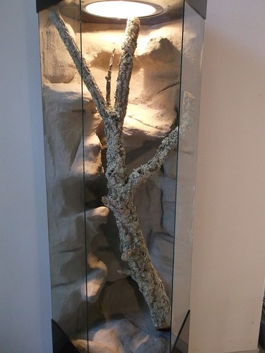 6Eck Hochkant Glas Terrarium 100x160 cm Chamäleons Leguane Schlangen - Bild 3 von 4