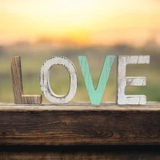 Distressed Farmhouse Rustic 6” Wood LOVE Letters Home Decor