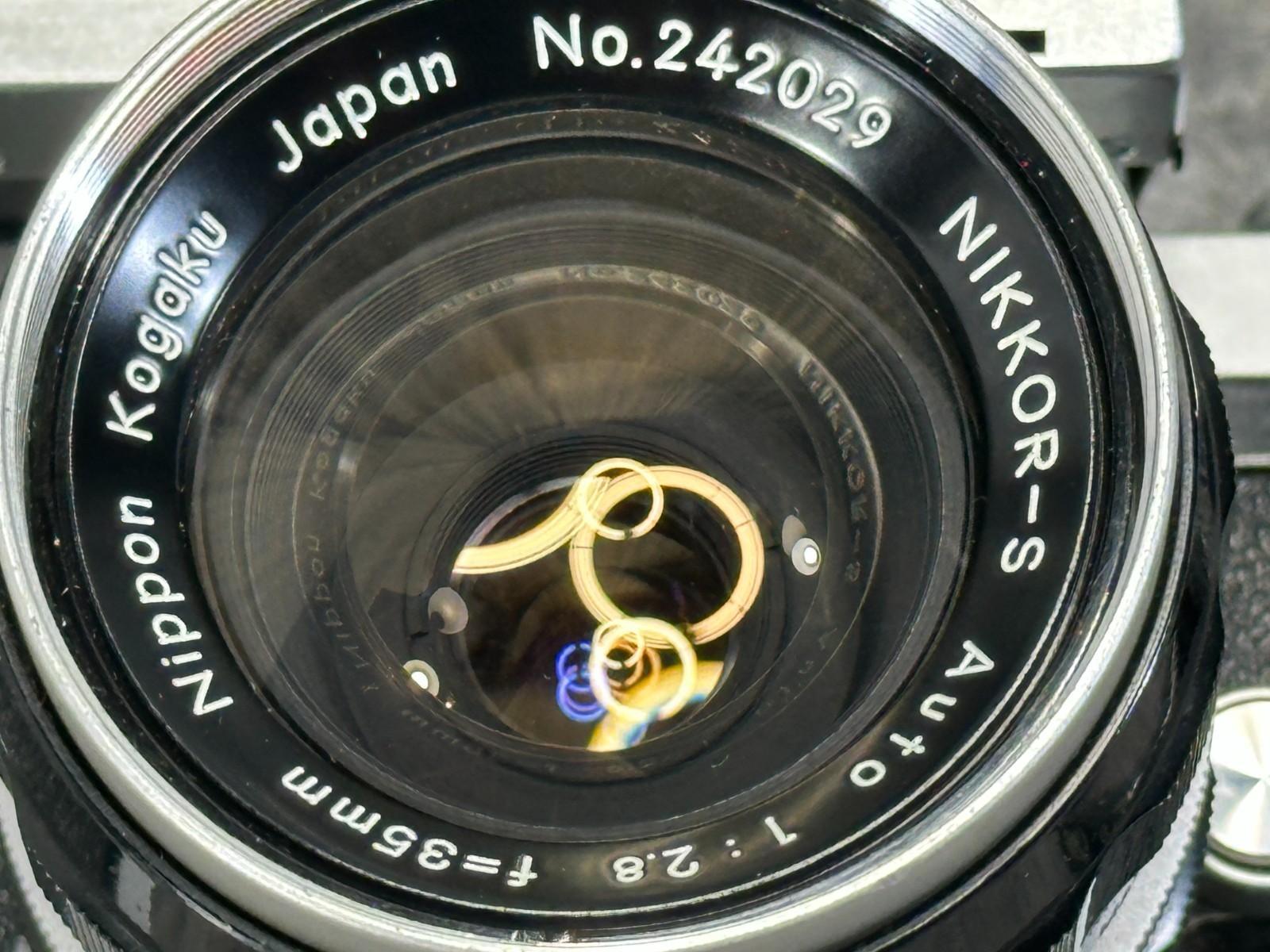Foto 8 di 11