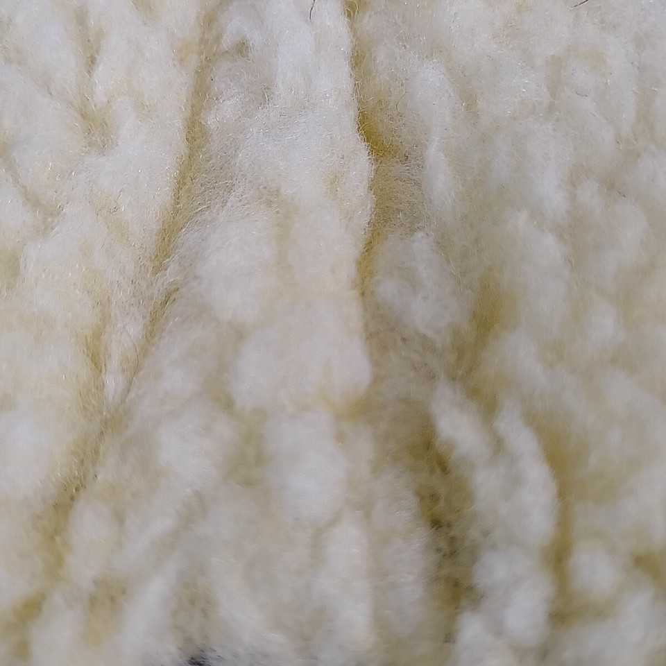 Foggy Mountain Dog Coat Green Jacket Size 12 Nylon Sherpa Fleece Water