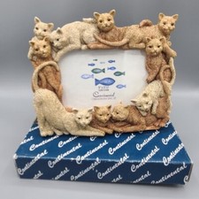 Cat Picture Photo Frame 5 x 3.5 Continental Kitten Resin