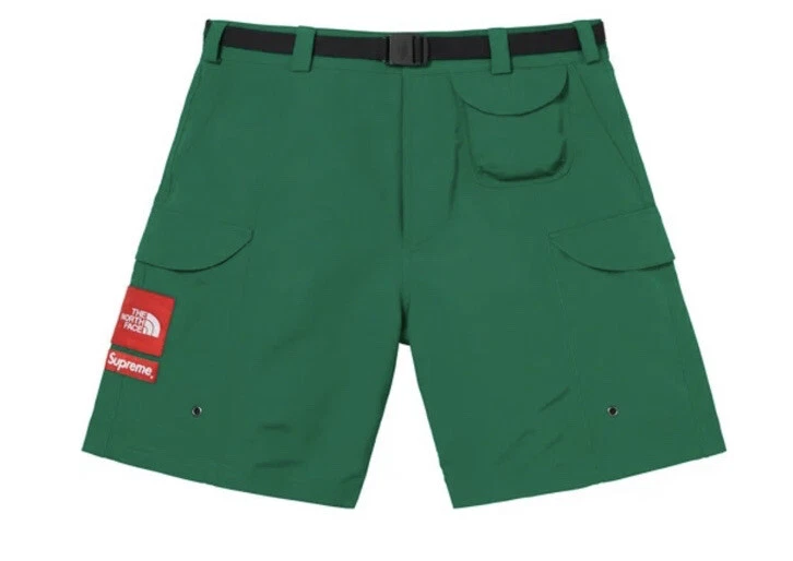 SUPREME/ THE NORTH FACE TREKKING PACKABLE BELTED SHORT SS22 DK