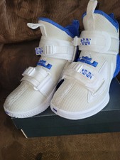 lebron 13 fire and ice