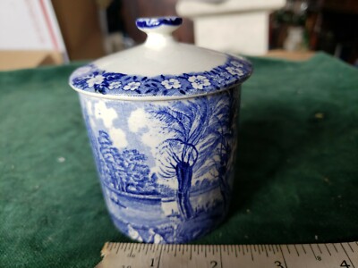Palissy England  Sugar with lid. ''Chelsea Hospital'' 