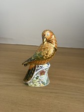 Royal Crown Derby Paperweight- Sun Parakeet - Gold Stopper - Boxed