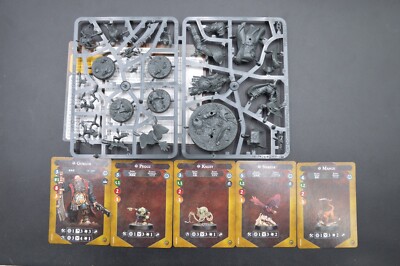 Warhammer AoS Underworlds: Ogor Mawtribes Blackpowder's Buccaneers w/Cards!