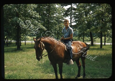Boy Horse Pine Ridge Tennessee 35mm Slide 1950s Red Border Kodachrome