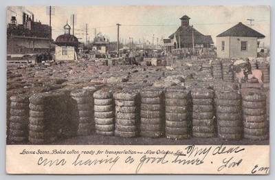 New Orleans Levee Scene Baled Cotton Tinted Postcard Louisiana Vintage 1900s