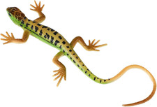 Plastic Lizard Toy Figurine - Realistic Reptile for Decor, Prank, or Education