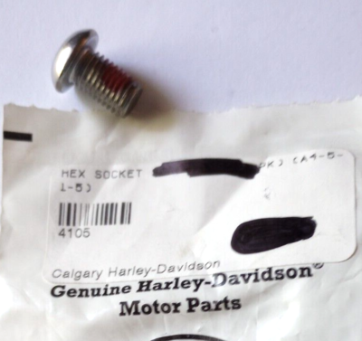 A Harley-Davidson Hex Socket Screw NOS 4105 (L-6148) | eBay