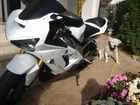 Unpainted Fairing Kit w/Bolts For KAWASAKI Ninja 636 ZX-6R 2003 04 Bodywork Set