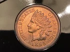 1895 proof indian head penny Small Scratch