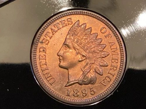 1895 proof indian head penny Small Scratch