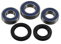 ALL Balls Radlager Kit Hinten Passt An Gas Gas EC MC 125 200 250 300 450 03-20