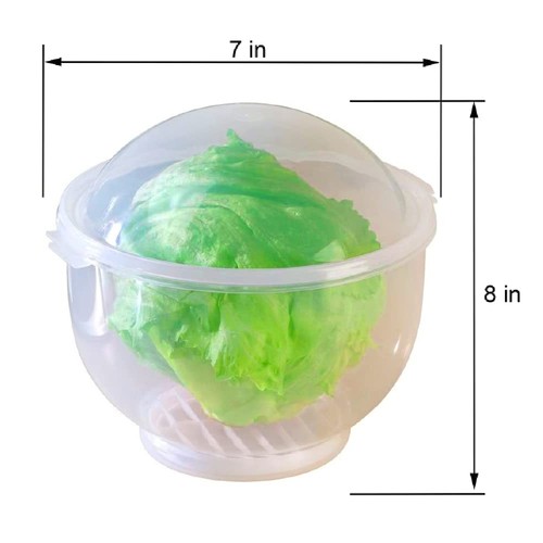 WalterDrake Lettuce KeeperTM - Lettuce Crisper Salad Keeper Container Keeps y... - Picture 4 of 7