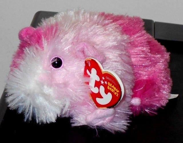 guinea pig beanie baby