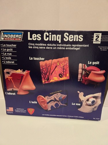Lindberg Science Kit Five Senses Home School Science Project Model Kit Unsealed - Picture 2 of 7