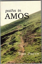 Paths in Amos by Tom Hayes