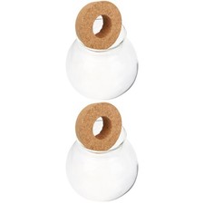 2 PCS Plant Vase Indoor Hydroponic Plants Propagation Containers