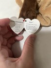 “BONES” TY BEANIE BABY DOG, ERROR, PE PELLETS - MINT CONDITION! — photo 8