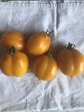 10 Graines De Tomates Citron Lemon Tree (bio)