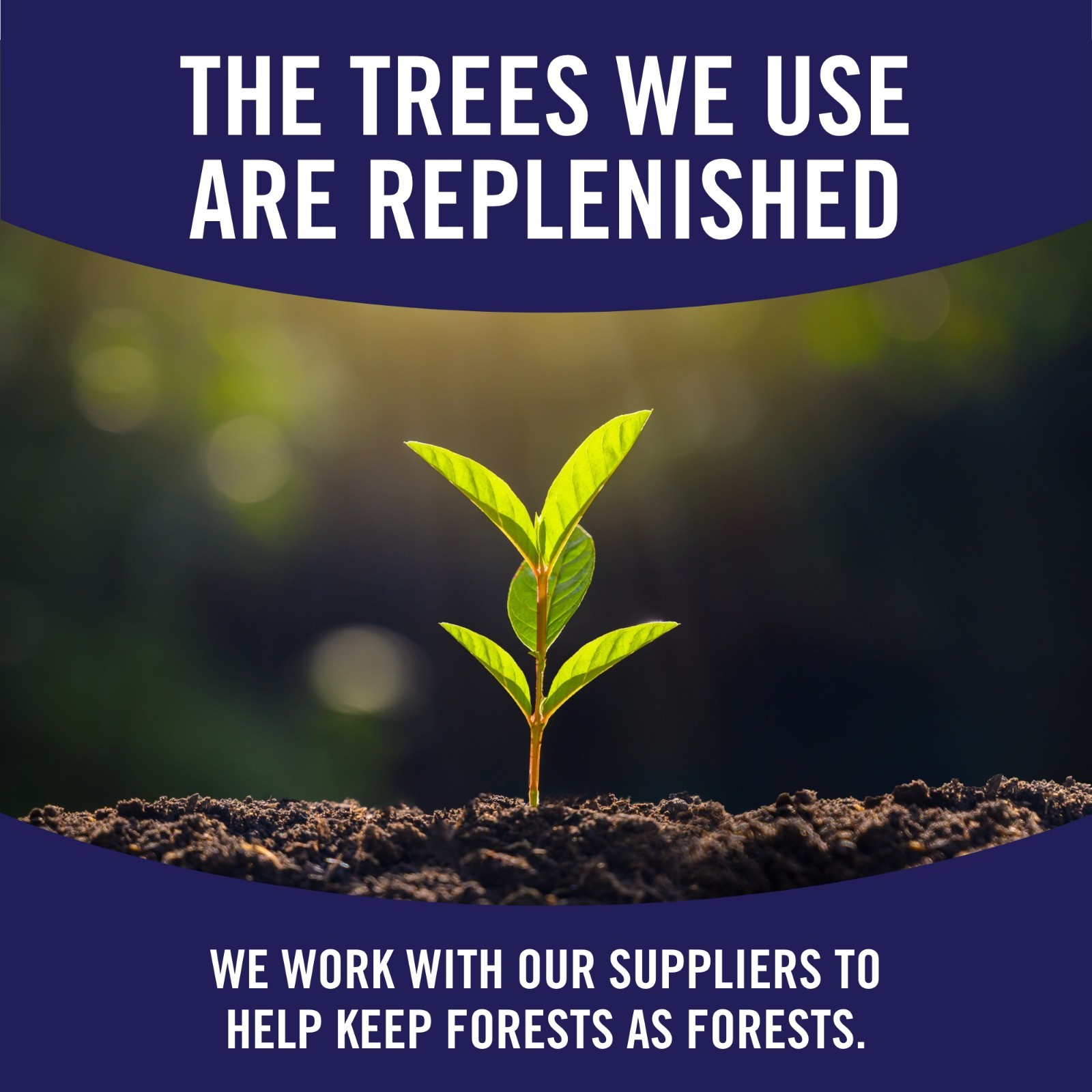 Kitchen Household Clean Up Paper Towels Bulk 24 Double Rolls = 48 Regular Rolls