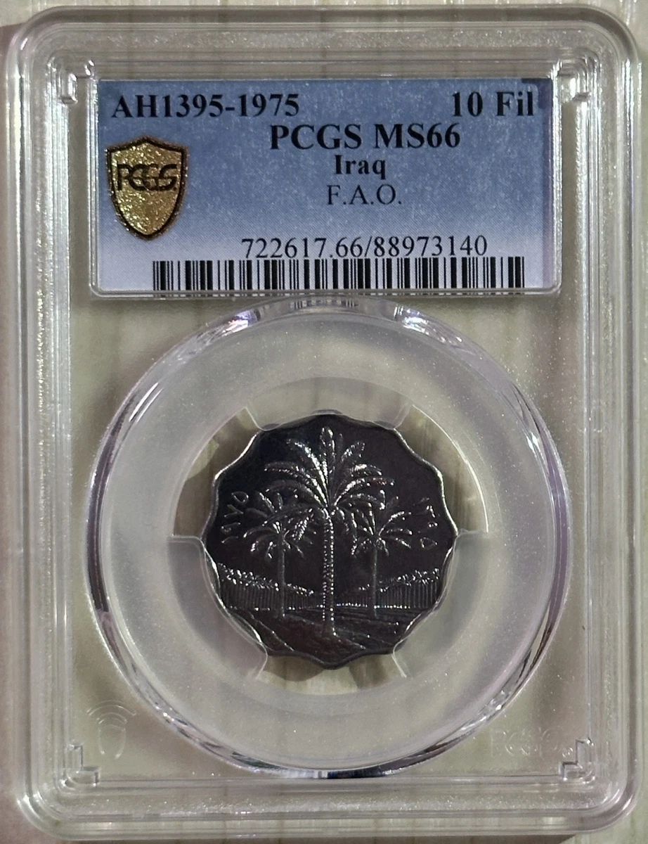 Stainless Steel 1975 Middle Eastern Coins for sale | eBay