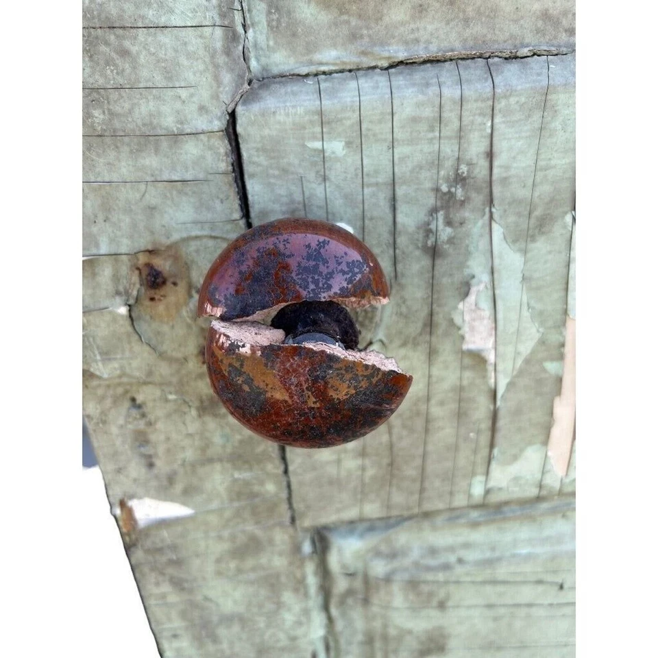 Porta de madeira maciça antiga 4 painéis salvamento arquitetônico 79,5 x 29,75 verde - Imagem 4 de 4