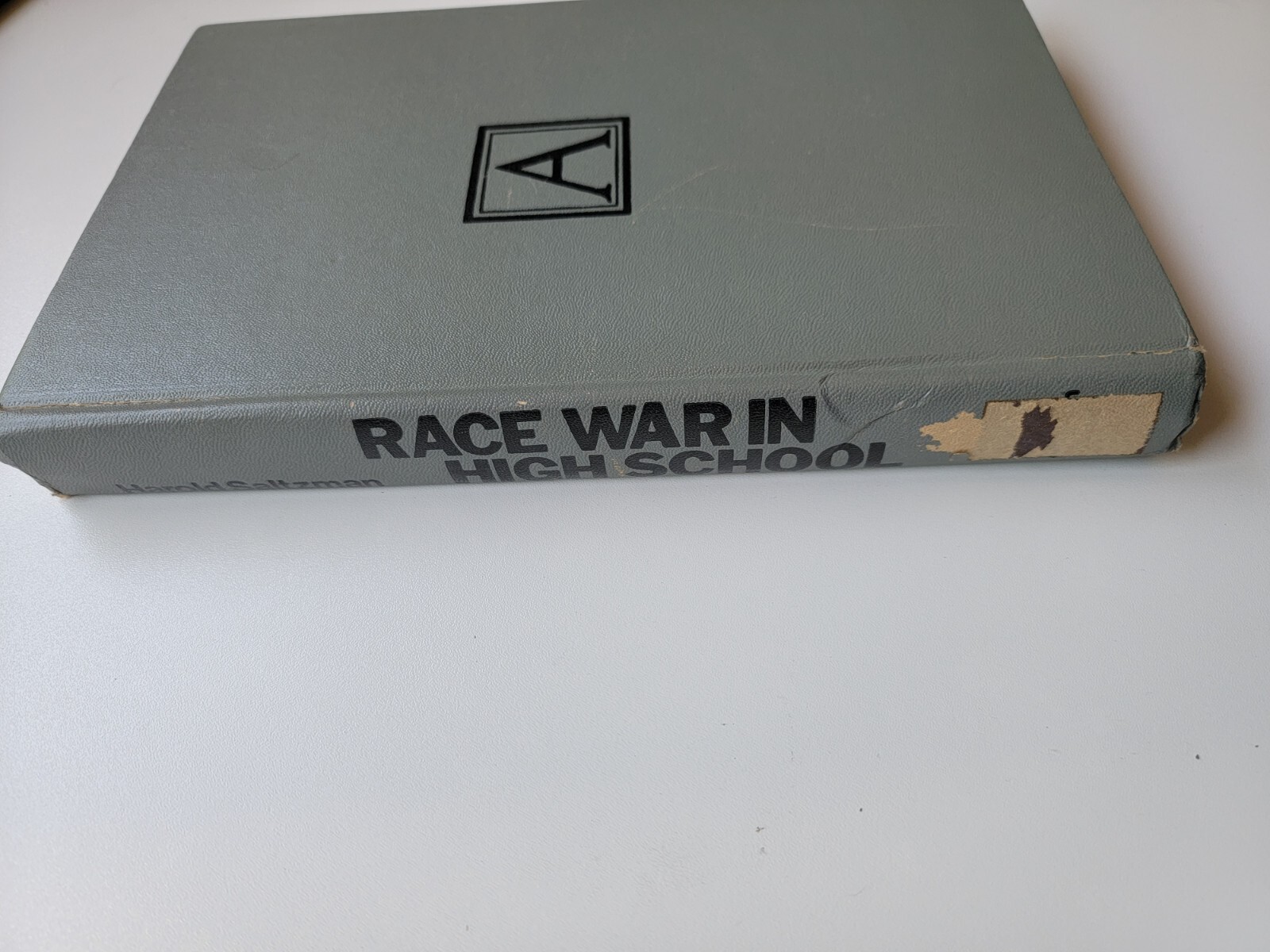 Race War in High School Franklin K. Lane High School Brooklyn NY