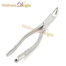 Tooth Extracting Forceps 151A Dental Surgical Instruments Stainless Steel