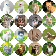 1.5 Inch Cat Stickers 600Pcs for Kids Birthday Party School Rewards