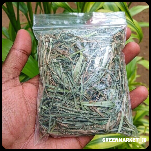 Dried Paragis Plant Eleusine Indica Poaceae Ayurvedic Goose Grass ...