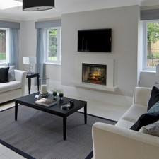 Dimplex 36  Revillusion Built In Electric Fir...