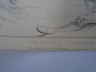 Picture 5 of 10