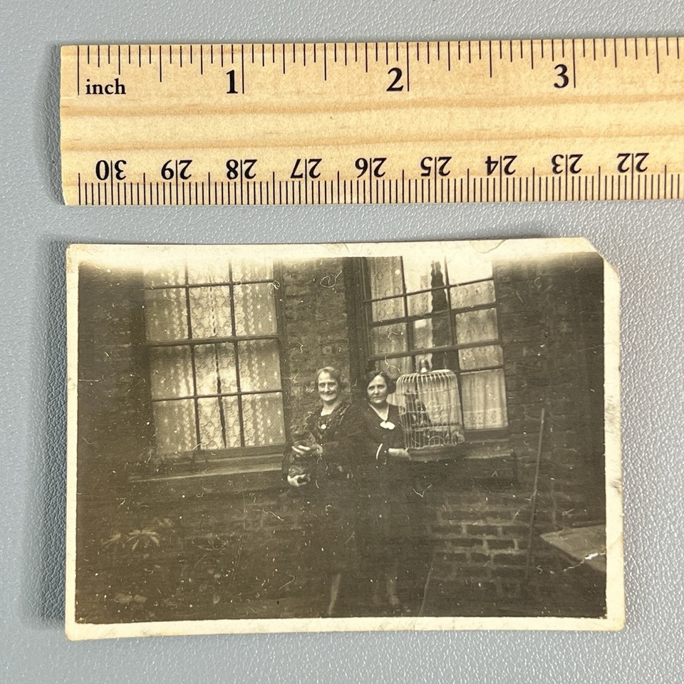 A named, identified 1920s Southern Gothic photo of a woman with a cat AND a caged parrot — eerie, one-of-a-kind, and deeply compelling.