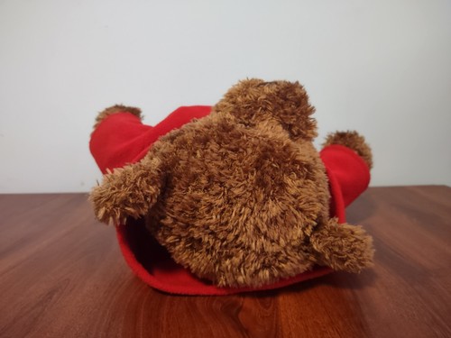RARE VINTAGE GUND TEDDY BEAR HUDSON'S BAY HBC RED BLANKET JACKET - Picture 8 of 8