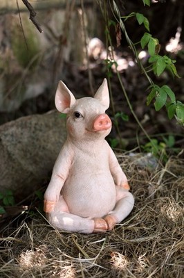 Sitting Pig Garden Statue In Meditation Home Farm Decor Animal In/Outdoor