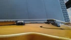 Picture 9 of 12