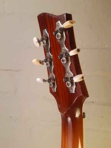 Vintage Meister ERICH WANDER Schlaggitarre Archtop. Jazzgitarre DDR - 第 15/24 張圖片