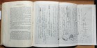 Bild 11 von 21