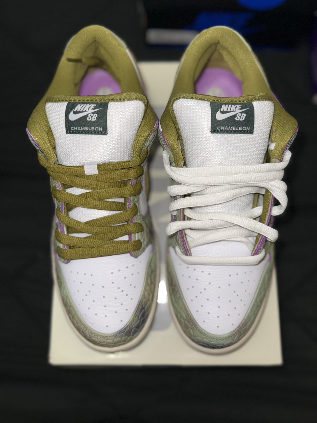 Nike SB Dunk Low Chameleon Sz11