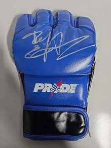 Mma Gloves Pride | eBay