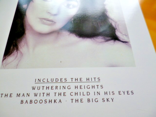 Kate Bush   The whole Story         GOLDDISC       (LaserDisc)   Neuwertig   PAL - Bild 21 von 23