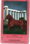 Bella Sara CCG - Ancient Lights - Fiona #34 Rare