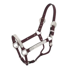 Silver Show Halter - Horse Size - Matching Lead Shank - Light Oil or Dark Oil