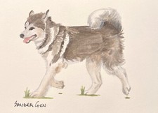 Alaskan Malamute Original Watercolor by Sandra Coen Trotting