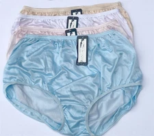 Teri's Soft Silky Nylon Panty Brief - 3 Pair 