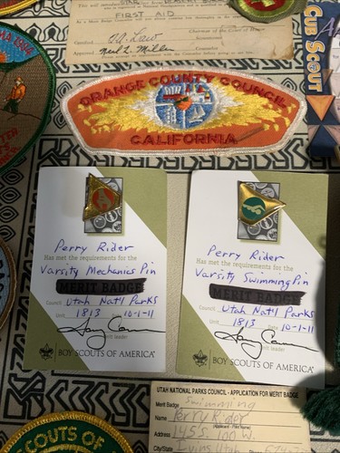 Cassetto spazzatura Boy Scouts of America Cub Scouts Girl Scouts programmi scout - Foto 12 di 19