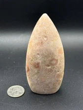 Flower Agate Free Form G1028