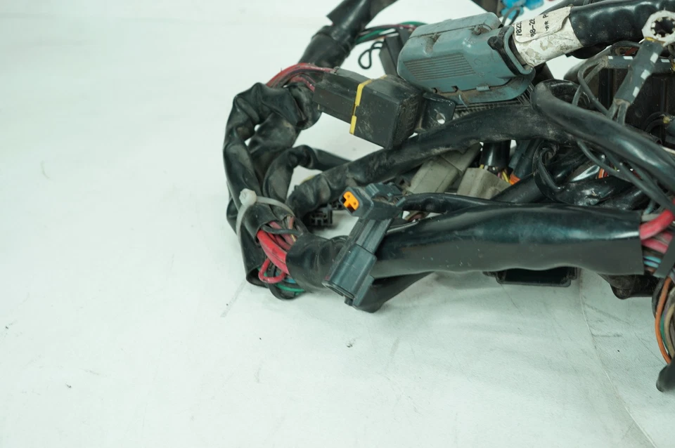 Harley Touring Road King Police 2002 FLHPI cableado principal arnés telar fabricante de equipos originales Foto 2 de 4